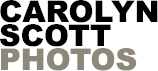 carolyn scott photography